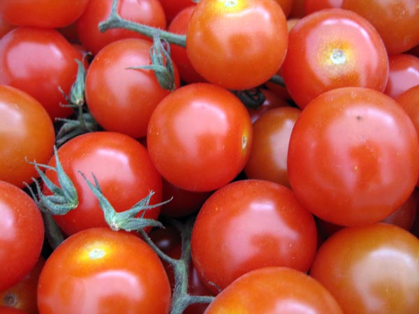 drawing: cheery tomatoes