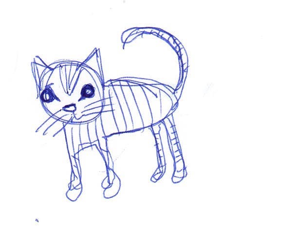 drawing: katt